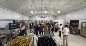 Sol Puntano y Gin Eternal impulsan dos vermouth premium elaborados con vino local