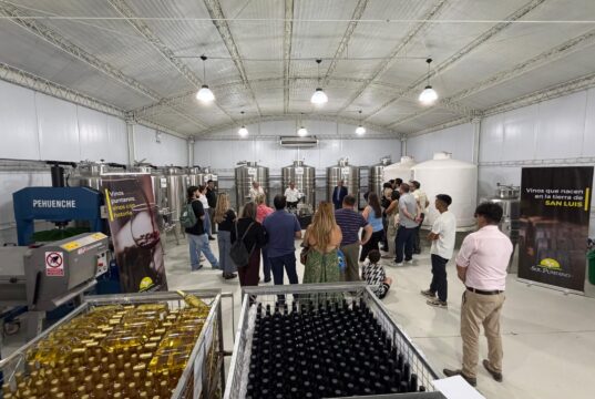 Sol Puntano y Gin Eternal impulsan dos vermouth premium elaborados con vino local