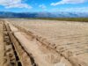 Avances en el parque solar de Aisa Group en San Luis: Ya se ha ejecutado casi el 50% del proyecto