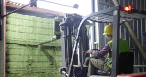 AgroZAL consolidó exportaciones por más de 1.200 toneladas de alfalfa compactada