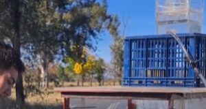 Un innovador simulador de lluvia revela cómo frenar la erosión que amenaza la productividad de San Luis