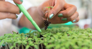 Agroinsumos: las grandes compañías reconfiguran sus estrategias frente a los biológicos