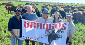 Jornada técnica sobre ganadería Brangus en Buena Esperanza