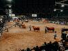 Mondino prepara un megaremate de 22.000 cabezas en la Expo Angus de Otoño 2026