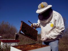 Se optimizan los controles de movimientos de material apícola desde apiarios a salas de extracción