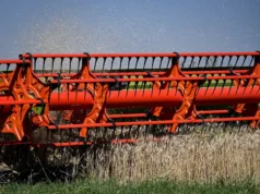 Milei anuncia baja de retenciones mientras el mercado sigue atento a China y al petróleo