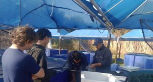Alumnos midieron el crecimiento de truchas arcoíris en el criadero de Río Grande