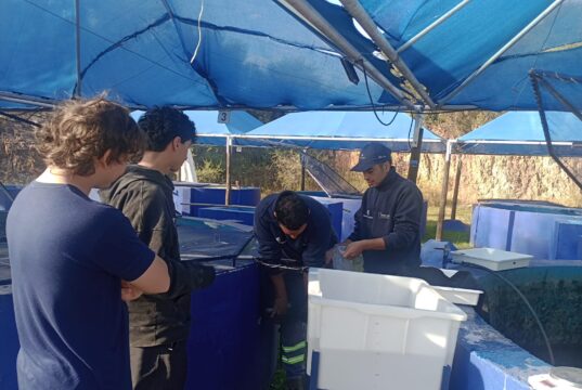 Alumnos midieron el crecimiento de truchas arcoíris en el criadero de Río Grande