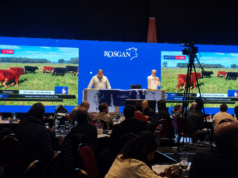Rosgan abrió la Semana Angus con un remate de 10.000 cabezas y valores destacados para la invernada