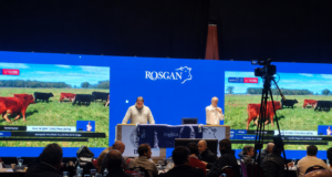 Rosgan abrió la Semana Angus con un remate de 10.000 cabezas y valores destacados para la invernada