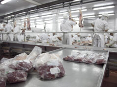 La exportación de carne bovina creció 53,95% en valor en el primer trimestre del 2026