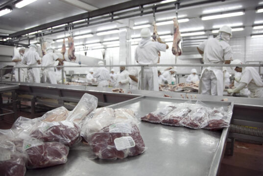 La exportación de carne bovina creció 53,95% en valor en el primer trimestre del 2026