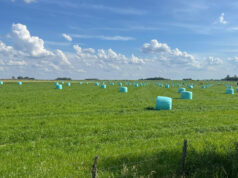 Las exportaciones de alfalfa crecieron un 90% durante el primer trimestre de 2026