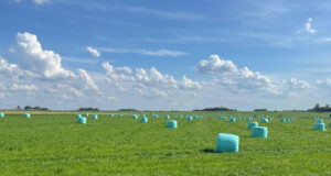 Las exportaciones de alfalfa crecieron un 90% durante el primer trimestre de 2026