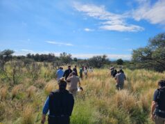 Futuros ingenieros agrónomos realizaron una práctica a campo en un establecimiento bovino de Concarán