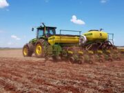 San Luis mantendría estable la superficie de trigo tras el récord histórico de rindes