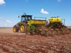 San Luis mantendría estable la superficie de trigo tras el récord histórico de rindes