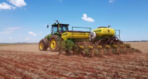 San Luis mantendría estable la superficie de trigo tras el récord histórico de rindes