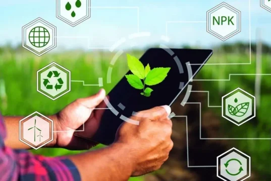 El 80% de las startups AgTech desarrolla soluciones que complementan tecnologías existentes y redefine el desafío de escalar en el agro