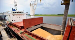 El calor en EE.UU. y las compras de China frenan la caída de los granos a la espera del informe del USDA