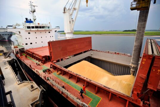 El calor en EE.UU. y las compras de China frenan la caída de los granos a la espera del informe del USDA