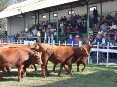 Rural Rio Quinto: 118 años de historia, compromiso y representación gremial
