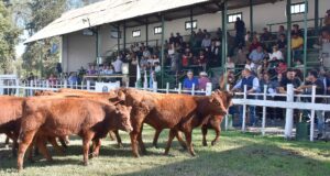 Rural Rio Quinto: 118 años de historia, compromiso y representación gremial
