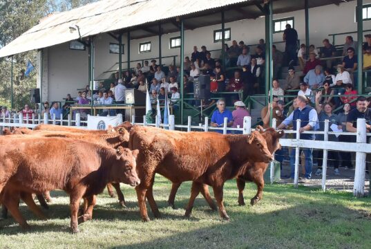 Rural Rio Quinto: 118 años de historia, compromiso y representación gremial