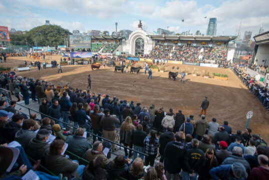 San Luis abrió la convocatoria para participar en la Exposición Rural de Palermo