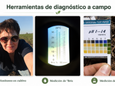 Teresa Ruiz: “Antes de pensar en un producto, debemos identificar qué proceso biológico queremos activar”