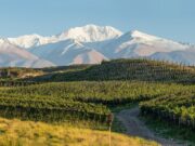 Datos bioclimáticos: la nueva frontera para mejorar la productividad de las economías regionales