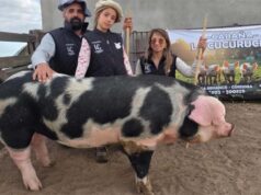 La Expo de Otoño en Río Cuarto cerró otra lograda edición