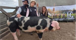 La Expo de Otoño en Río Cuarto cerró otra lograda edición
