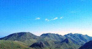 Publican una completa guía fotográfica sobre más de 150 especies nativas de San José del Morro