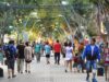 Advierten sobre el deterioro del arbolado público y reclaman políticas sostenidas para recuperar el bosque urbano