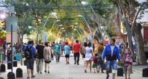 Advierten sobre el deterioro del arbolado público y reclaman políticas sostenidas para recuperar el bosque urbano