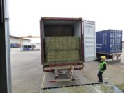 Más de 1.000 toneladas de alfalfa partieron de San Luis a Emiratos Árabes Unidos