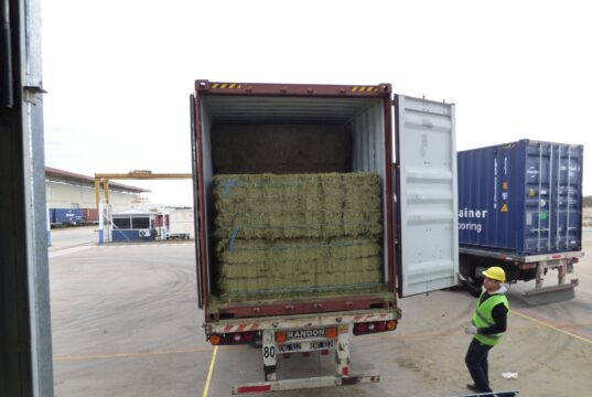 Más de 1.000 toneladas de alfalfa partieron de San Luis a Emiratos Árabes Unidos