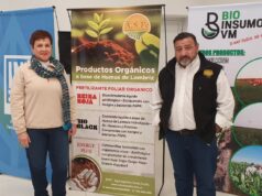 De los fertilizantes tradicionales a la recuperación biológica de los suelos