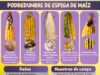 “Maíz sano, negocio seguro”: expertos advirtieron sobre el impacto de las micotoxinas en la producción, la salud y el comercio
