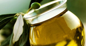 Sol Puntano ofrecerá una capacitación intensiva sobre producción y calidad del aceite de oliva