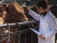 Capacitación sobre bienestar animal para trabajadores rurales en Villa Mercedes y San Luis