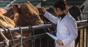 Capacitación sobre bienestar animal para trabajadores rurales en Villa Mercedes y San Luis