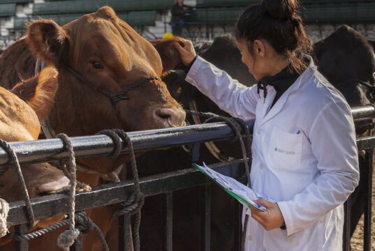 Capacitación sobre bienestar animal para trabajadores rurales en Villa Mercedes y San Luis