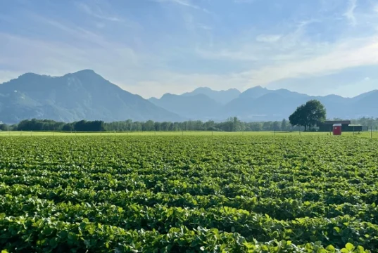 Repuntó la venta de campos y el sector observa un escenario más favorable para las inversiones