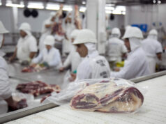 Exportaciones a china: dos estrategias divergentes con efectos aun inciertos sobre precios