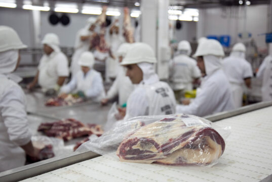 Exportaciones a china: dos estrategias divergentes con efectos aun inciertos sobre precios