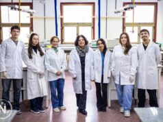 Ciencia en San Luis: investigan bacterias lácticas como alternativa a los antibióticos
