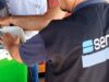 Sanidad apícola: qué productos no se pueden ingresar a la Argentina