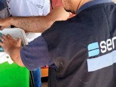 Sanidad apícola: qué productos no se pueden ingresar a la Argentina